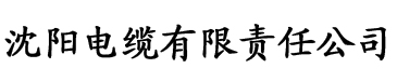 日日夜夜人人精品网站精电缆厂logo